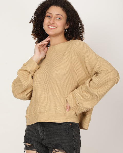 Women Solid textured Pullover Sweatshirt