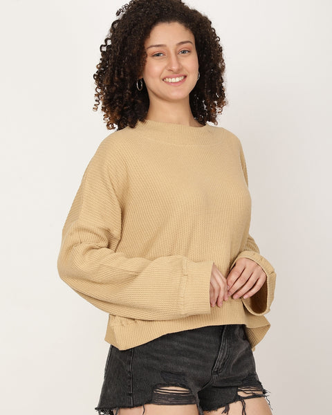 Women Solid textured Pullover Sweatshirt